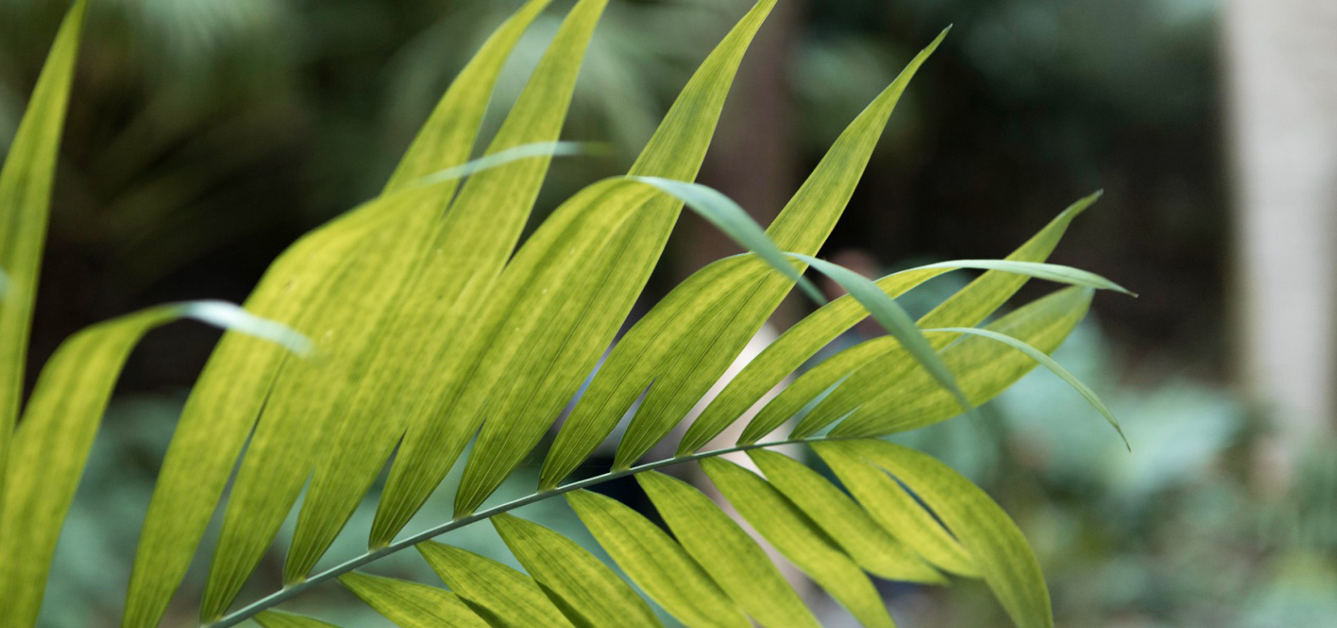 Harrow Sustainability