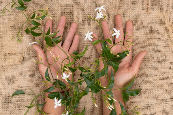 Sustainable Clothing