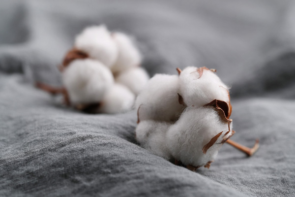 Sustainable Cotton